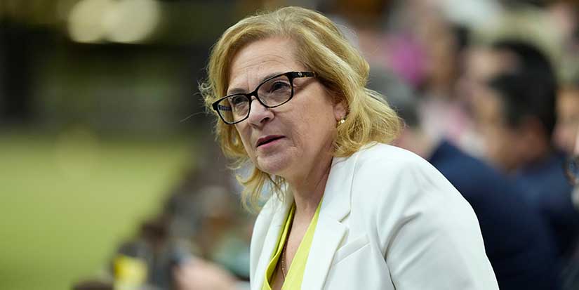 Provincial immigrant nominee programs get late year boost: Diab