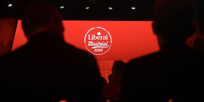 Federal Liberals choose new national director