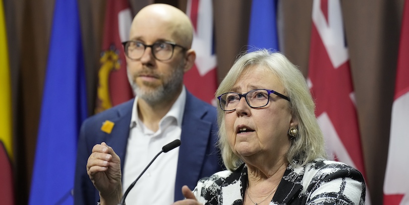 Two candidates running for Green Party leadership, winner to be announced Nov. 14