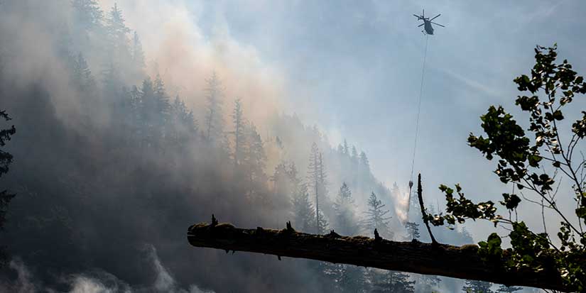Canada's 2030 emissions target is out of reach after progress stalled in 2024: report