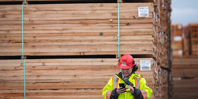 B.C. First Nations and logging firm want Walbran Valley old-growth blockade to end