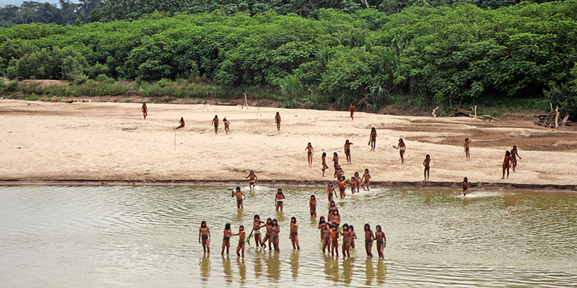 Uncontacted Indigenous groups could vanish within a decade without stronger protections, experts say