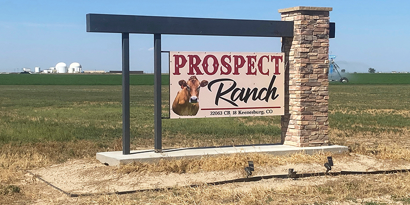 Coroner’s report on 6 deaths at Colorado dairy points to toxic gas exposure