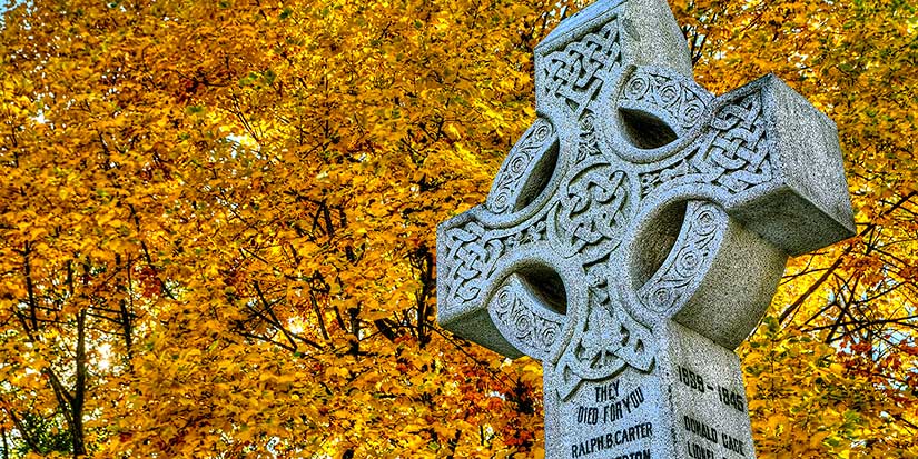 In honour of our soldiers: William Lapka