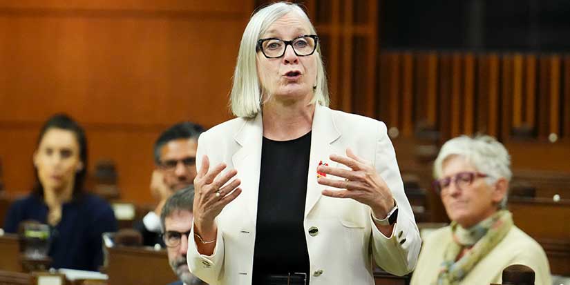Number of temporary worker applications falls as fines rise, government says