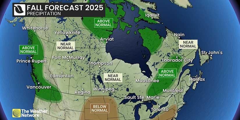 Mild fall with fewer storms could end with abrupt wintry switch: Weather Network
