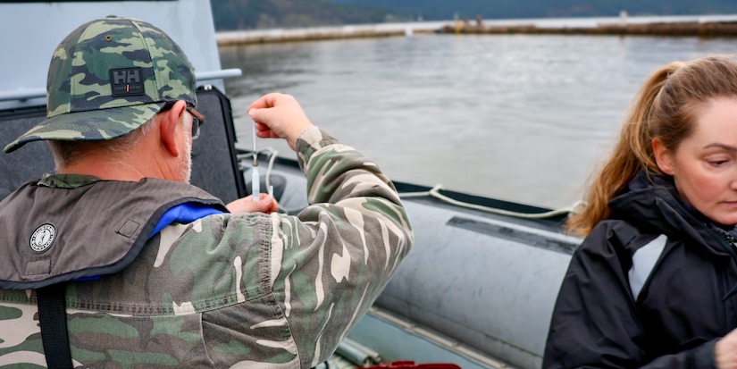 B.C. rescuers remove rope wrapped around sea lion's neck after weeks-long effort