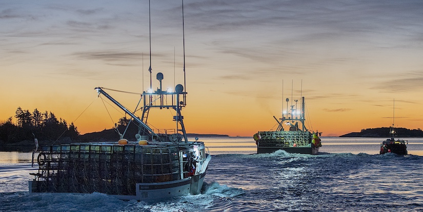 Nova Scotia lobster industry surprised, elated by suspension of Chinese tariff