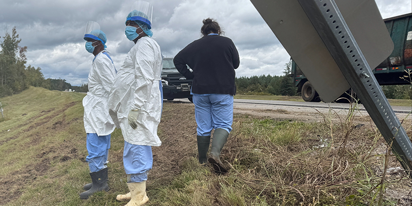 Search is on for 3 escaped monkeys after truck overturns on Mississippi highway