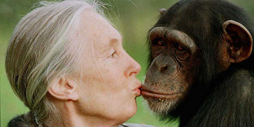 Jane Goodall, conservationist renowned for chimpanzee research and environmental advocacy, has died